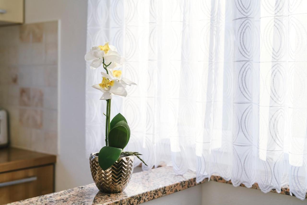 Apartments Mirela كوبر المظهر الخارجي الصورة